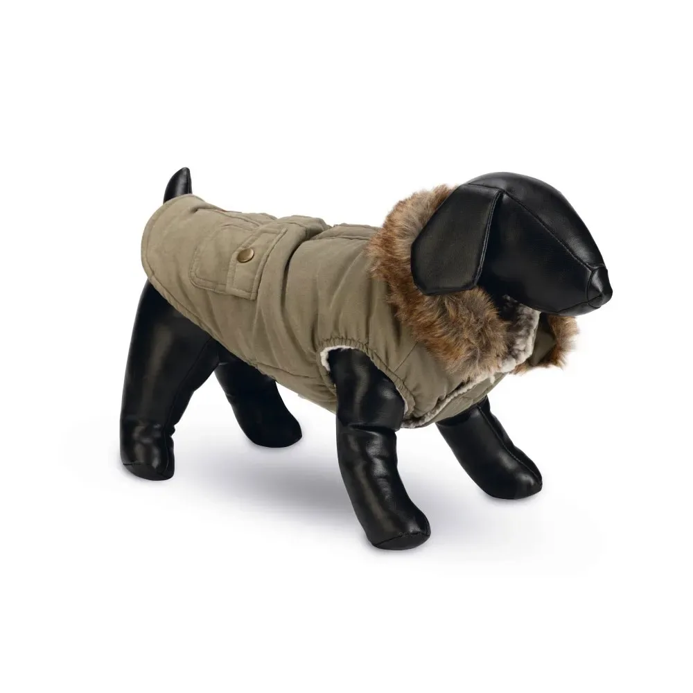 Philos Hundejacke von Designed by Lotte – Produktfoto