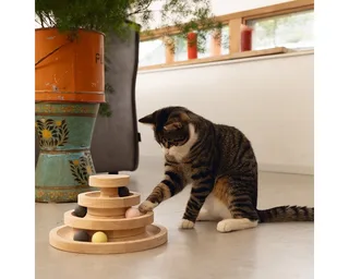 Speeltoren Mia - Kattenspeelgoed - Hout - 26x26x14,5 cm von Designed by Lotte in Braun – Produktfoto 3 von 5