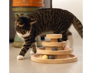 Speeltoren Mia - Kattenspeelgoed - Hout - 26x26x14,5 cm von Designed by Lotte in Braun – Produktfoto 5 von 5