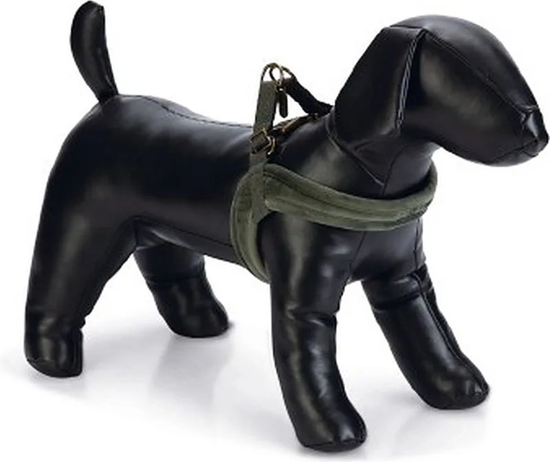 Velura - Hondentuig - M - 20 mm x 58 cm de Designed by Lotte en Vert – photo produit