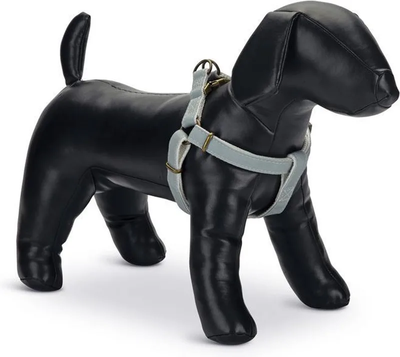 Virante - Hondentuig - 46-75 cm von Designed by Lotte in Mint – Produktfoto