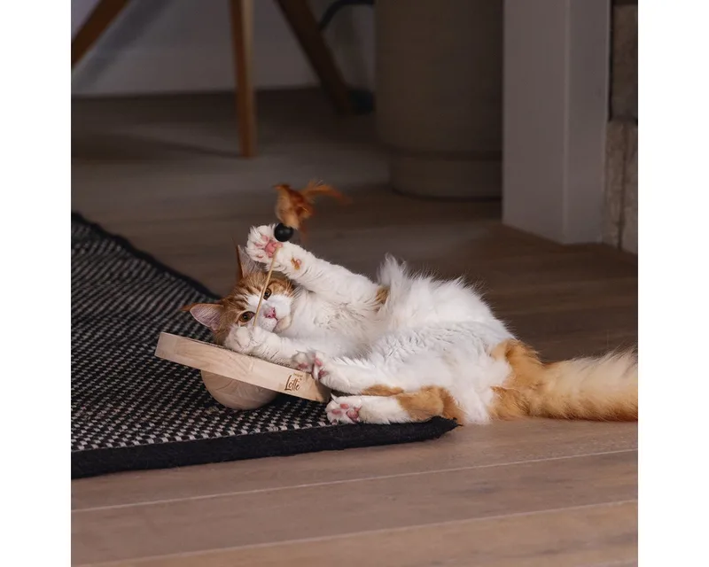 Winni - Kattenspeelgoed - Hout - 22x22x30 cm von Designed by Lotte in Braun – Produktfoto 5 von 5