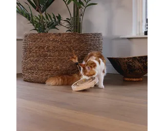 Winni - Kattenspeelgoed - Hout - 22x22x30 cm von Designed by Lotte in Braun – Produktfoto 4 von 5