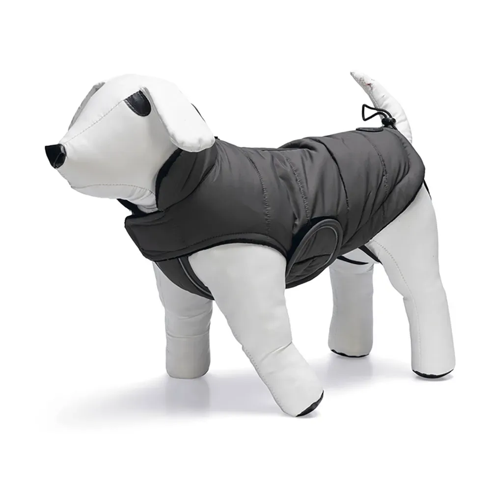 Zhanti Hundejacke von Designed by Lotte – Produktfoto