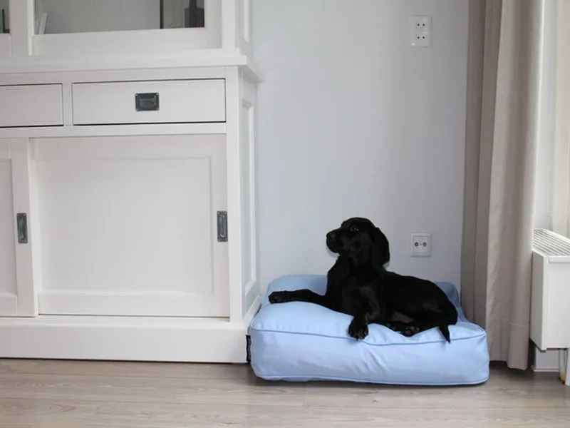 Hondenkussen/ Benchkusse - 68 x 62 x 10 cm de Dog's Companion en Bleu clair – photo produit