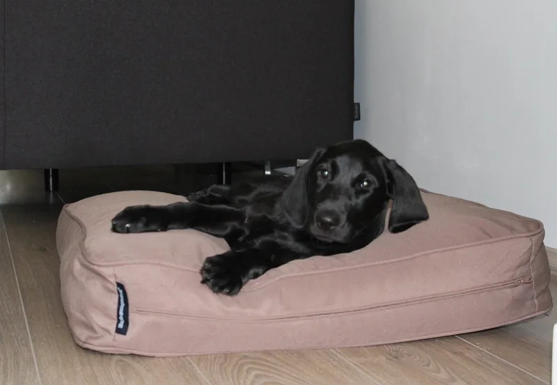 Hondenkussen/ Benchkusse - Taupe - 68 x 62 x 10 cm von Dog's Companion in Taupe Bruin – Produktfoto
