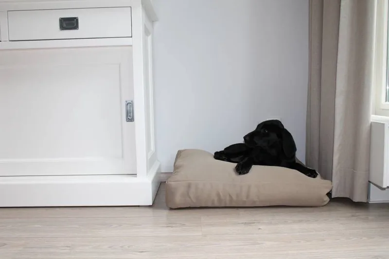 Hondenkussen / Benchkussen - 65 x 50 x 10 cm de Dog's Companion en Beige – photo produit