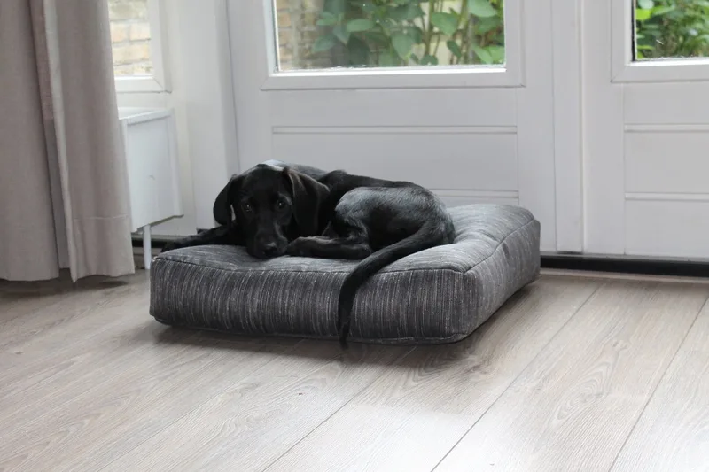 Hondenkussen / Benchkussen - Tweet - 58 x 45 x 12 cm de Dog's Companion en Gris foncé – photo produit