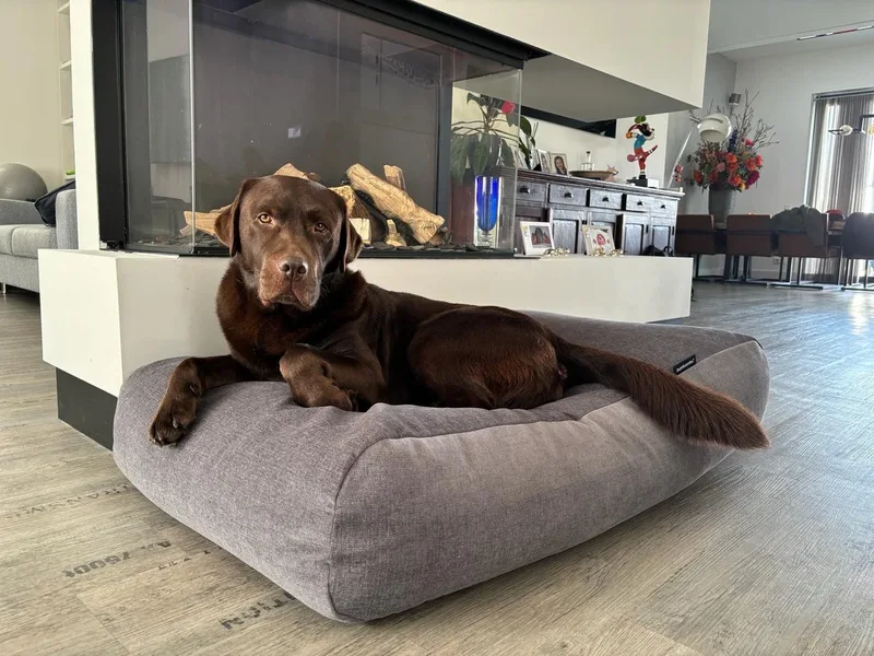 Hondenkussen / Hondenbed dark grey bouclé - XS - 55x45cm de Dog's Companion – photo produit