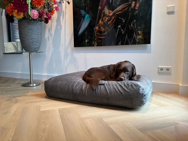 Hondenkussen / Hondenbed double ribcord - L - 115x85cm von Dog's Companion in Muisgrijs – Produktfoto