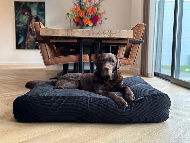 Hondenkussen / Hondenbed double ribcord - M - 90x70cm by Dog's Companion in Black – product photo