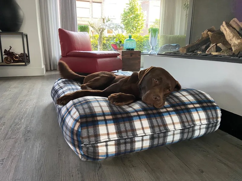 Hondenkussen / Hondenbed fleece cosy tartan - S - 70x50cm by Dog's Companion in Beige – product photo