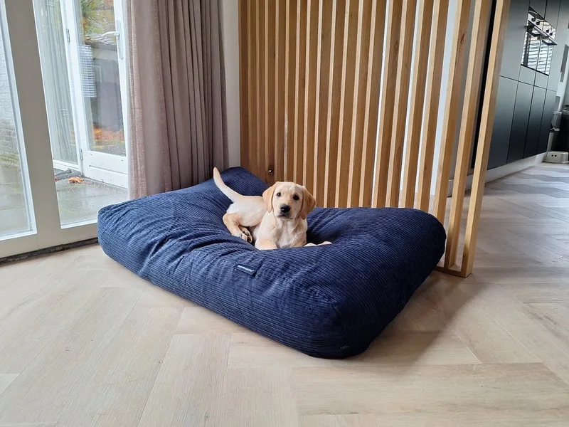 Hondenkussen / Hondenbed - L - 115 x 85 cm de Dog's Companion en Donkerblauw Double Ribcord – photo produit