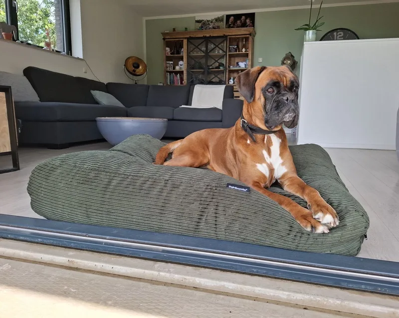 Hondenkussen / Hondenbed - L - 115 x 85 cm by Dog's Companion in Hunting Double Ribcord – product photo