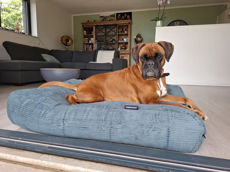 Hondenkussen / Hondenbed - L - 115 x 85 cm by Dog's Companion in Oud Groen Double Ribcord – product photo