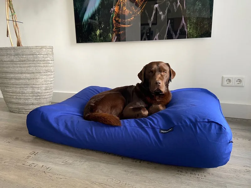 Hondenkussen / Hondenbed - L - 115 x 85 cm - Royal Blue Canvas/Katoen de Dog's Companion en Blauw Katoen – photo produit