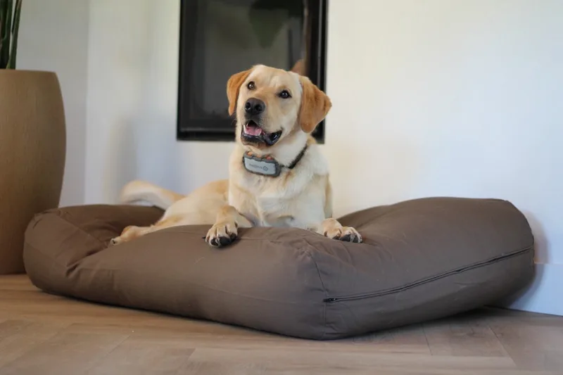 Hondenkussen / Hondenbed - L - 115 x 85 cm - Taupe/Bruin Canvas/Katoen von Dog's Companion in Taupe Bruin Canvas, Katoen – Produktfoto