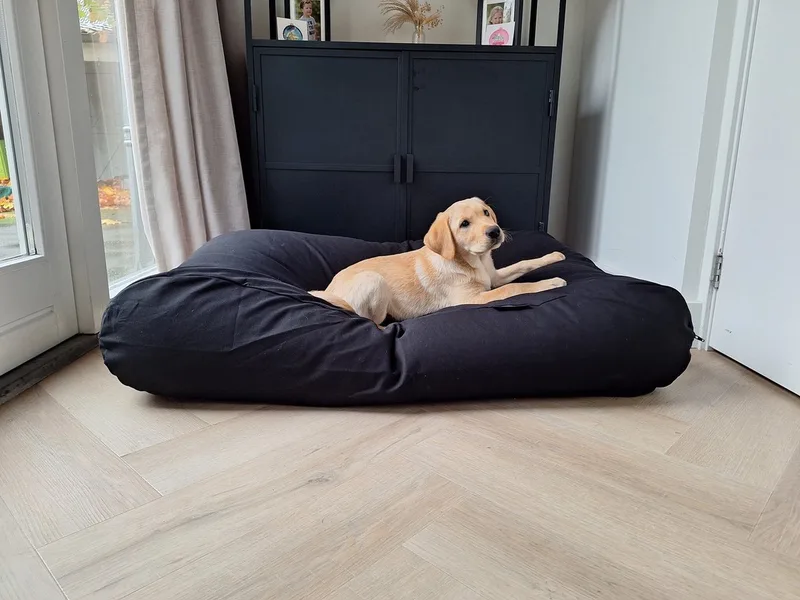 Hondenkussen / Hondenbed - L - 115 x 85 cm de Dog's Companion en Zwart Canvas, Katoen – photo produit