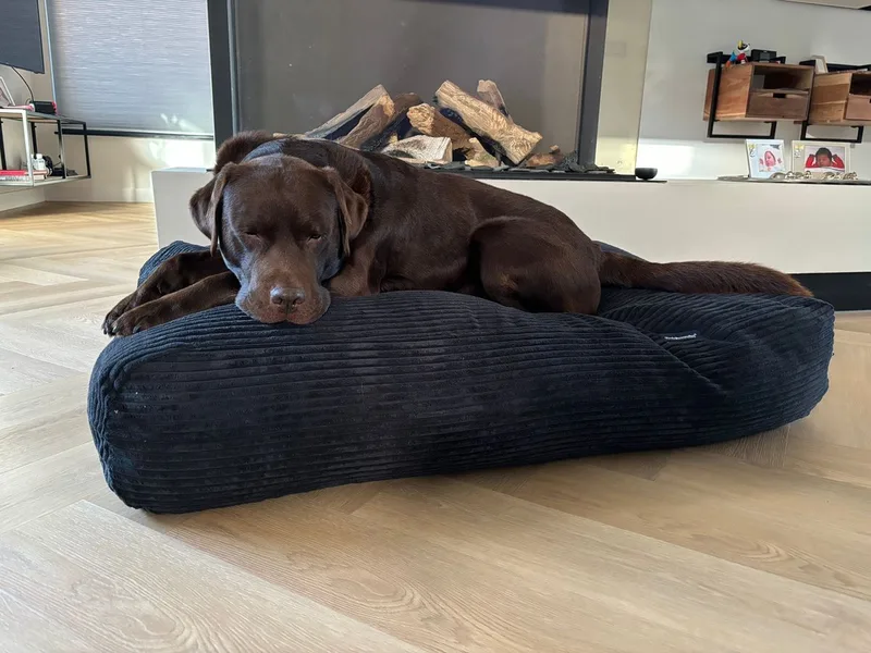 Hondenkussen / Hondenbed - M - 90 x 70 cm by Dog's Companion in Black Giant Ribcord – product photo