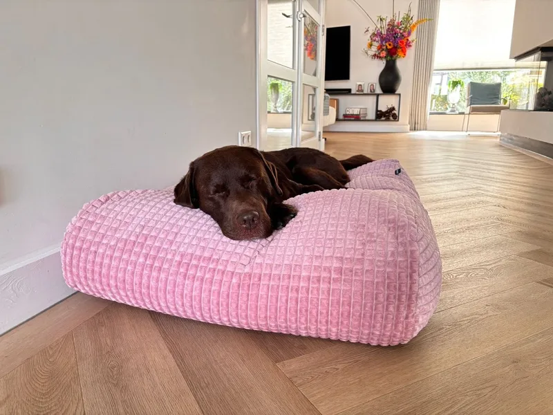 Hondenkussen / Hondenbed - M - 90 x 70 cm fra Dog's Companion i Little Square soft pink – produktbillede