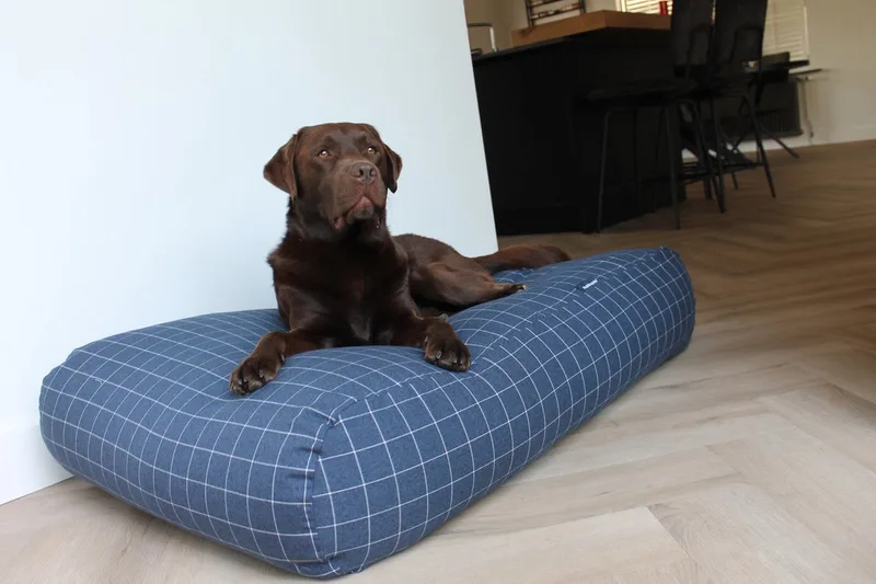 Hondenkussen / Hondenbed - M - 90 x 70 cm by Dog's Companion in Manhattan mid blue – product photo
