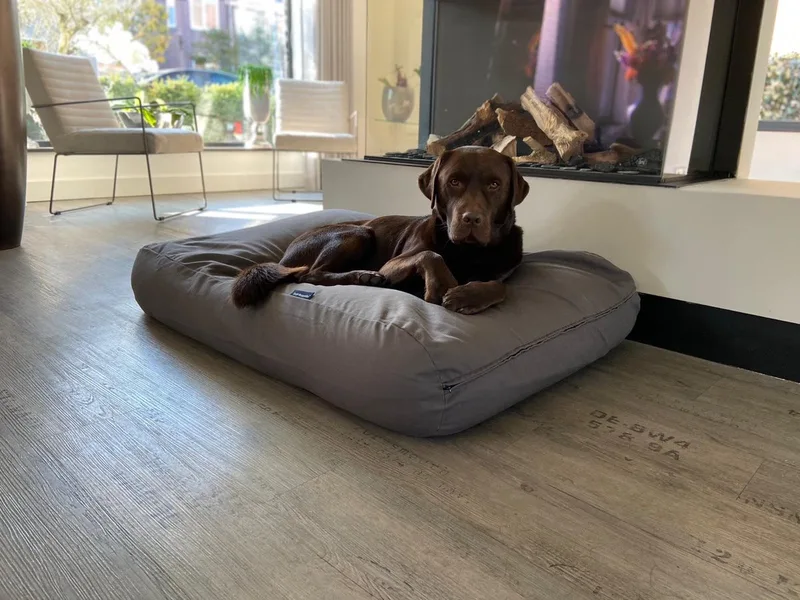 Hondenkussen / Hondenbed - M - 90 x 70 cm de Dog's Companion en Muisgrijs Canvas, Katoen – photo produit