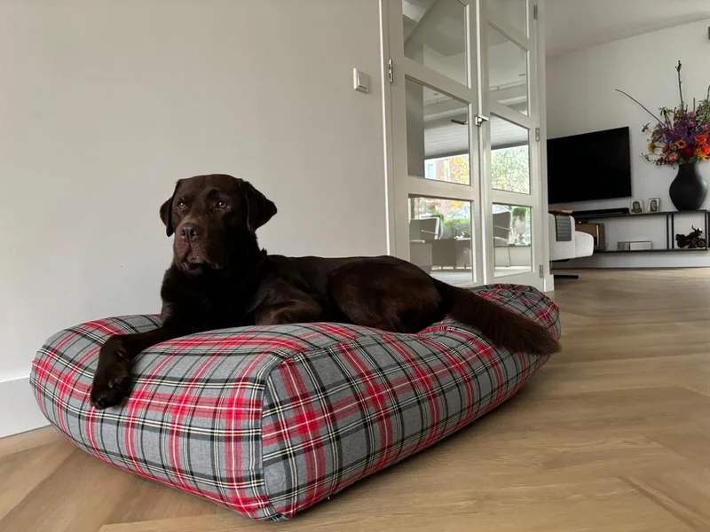 Hondenkussen / Hondenbed - M - 90 x 70 cm by Dog's Companion in Scottish Grey – product photo