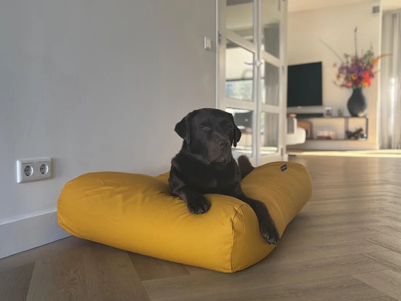 Hondenkussen / Hondenbed - M - 90x70cm von Dog's Companion in Okergeel – Produktfoto