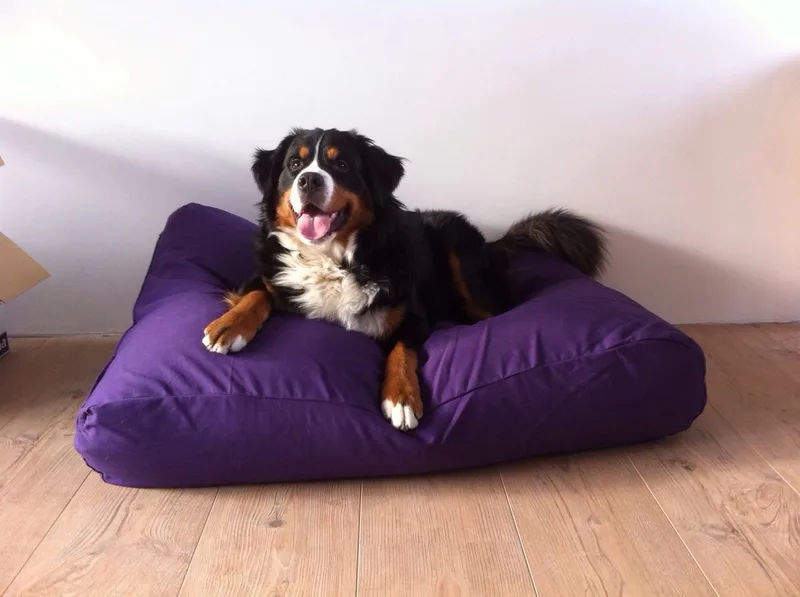 Hondenkussen / Hondenbed - M - 90x70cm de Dog's Companion en Violet – photo produit
