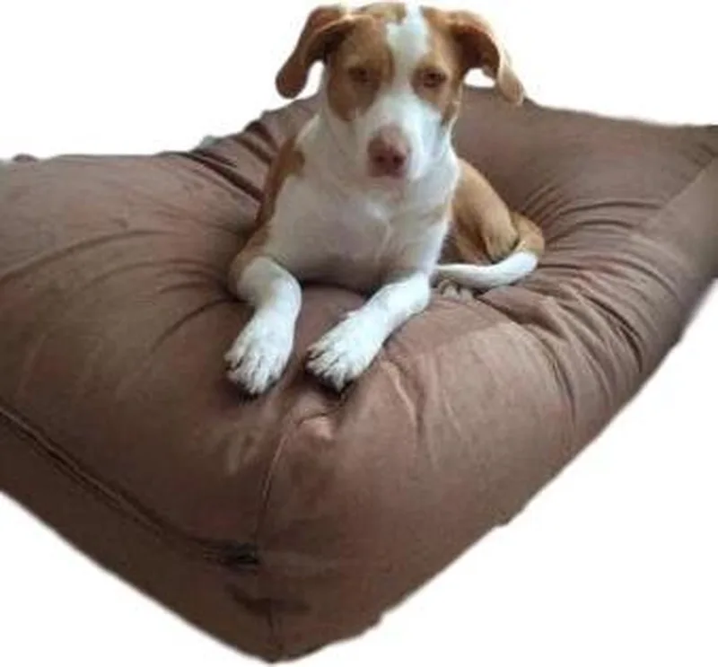 Hondenkussen / Hondenbed manchester ribcord extra small - XS - 55x45cm von Dog's Companion in Lichtbruin – Produktfoto