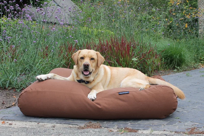 Hondenkussen / Hondenbed mokka extra small - XS - 55x45cm de Dog's Companion en Marron – photo produit
