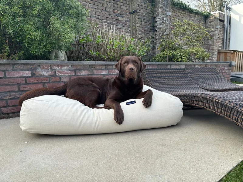 Hondenkussen / Hondenbed off white meubelstof - M - 90x70cm de Dog's Companion en Blanc – photo produit