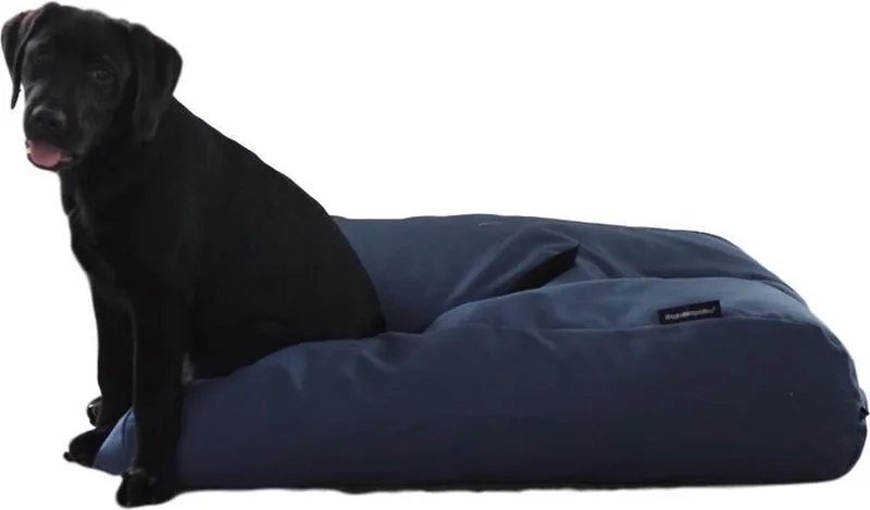 Hondenkussen / Hondenbed raf meubel extra small - XS - 55x45cm de Dog's Companion en Bleu – photo produit
