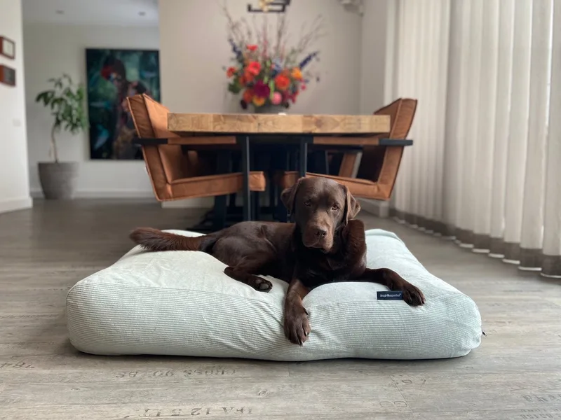 Hondenkussen / Hondenbed - S - 70 x 50 cm by Dog's Companion in Cool Mintgroen Ribcord – product photo