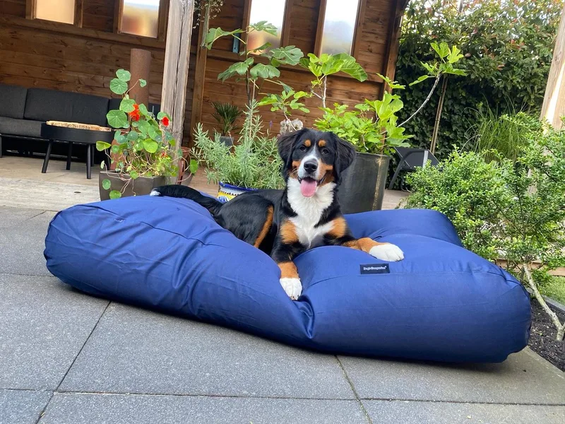 Hondenkussen / Hondenbed - S - 70 x 50 cm - Donkerblauw Water- en Vuilafstotende Coating - Waterafstotend by Dog's Companion in Donkerblauw Coating – product photo