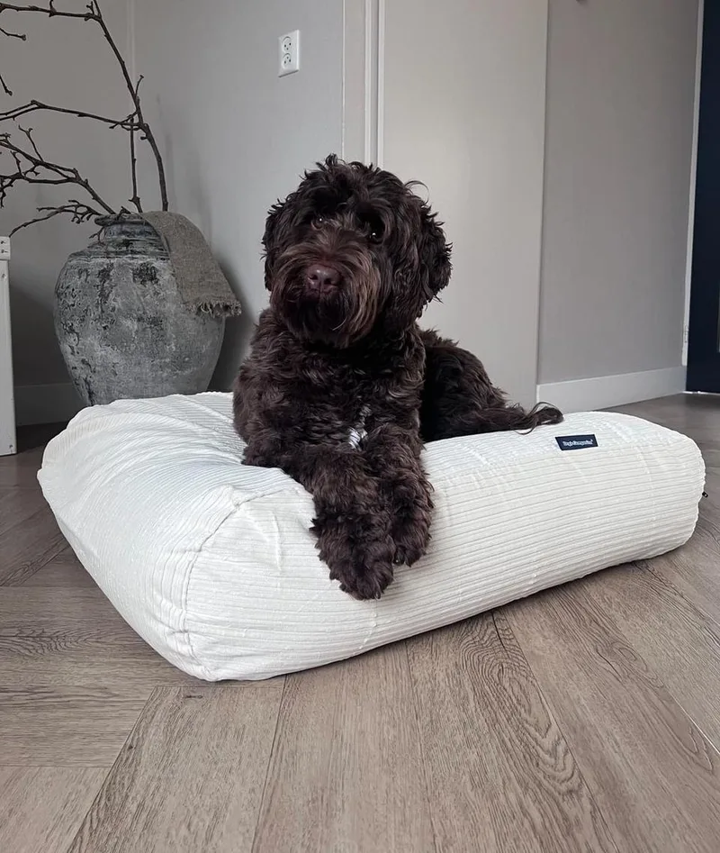 Hondenkussen / Hondenbed - S - 70 x 50 cm von Dog's Companion in Gebroken Wit Double Ribcord – Produktfoto