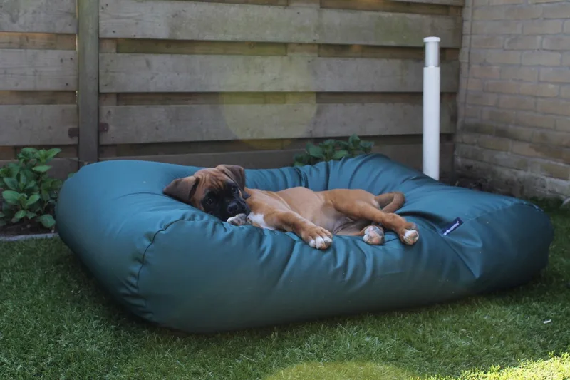 Hondenkussen / Hondenbed - S - 70 x 50 cm - Groen Water- en Vuilafstotende Coating - Waterafstotend von Dog's Companion in Groen Coating – Produktfoto