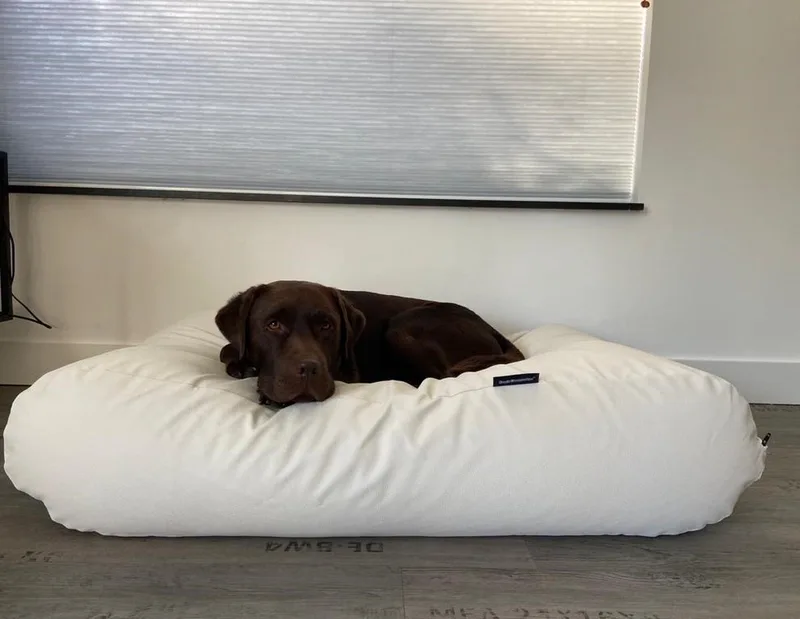 Hondenkussen / Hondenbed - S - 70 x 50 cm - Kunstleer - Ivory Leather Look de Dog's Companion en Ivory Wit Leather Look – photo produit