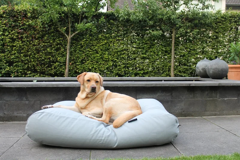 Hondenkussen / Hondenbed - S - 70 x 50 cm van Dog's Companion in Lichtgrijs Canvas, Katoen – productfoto