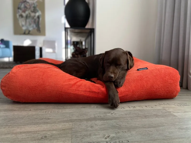 Hondenkussen / Hondenbed - S - 70 x 50 cm de Dog's Companion en Oranje Ribcord – photo produit