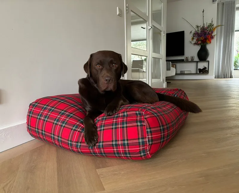 Hondenkussen / Hondenbed - S - 70 x 50 cm by Dog's Companion in Royal Stewart – product photo