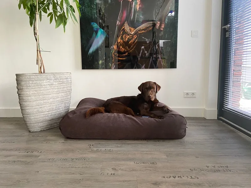 Hondenkussen / Hondenbed soft brown chenille velvet - XS - 55x45cm von Dog's Companion in Soft Brown Velours Chenille – Produktfoto