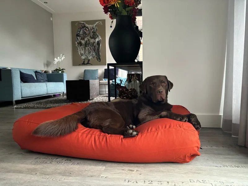 Hondenkussen / Hondenbed terracotta - XS - 55x45cm by Dog's Companion – product photo