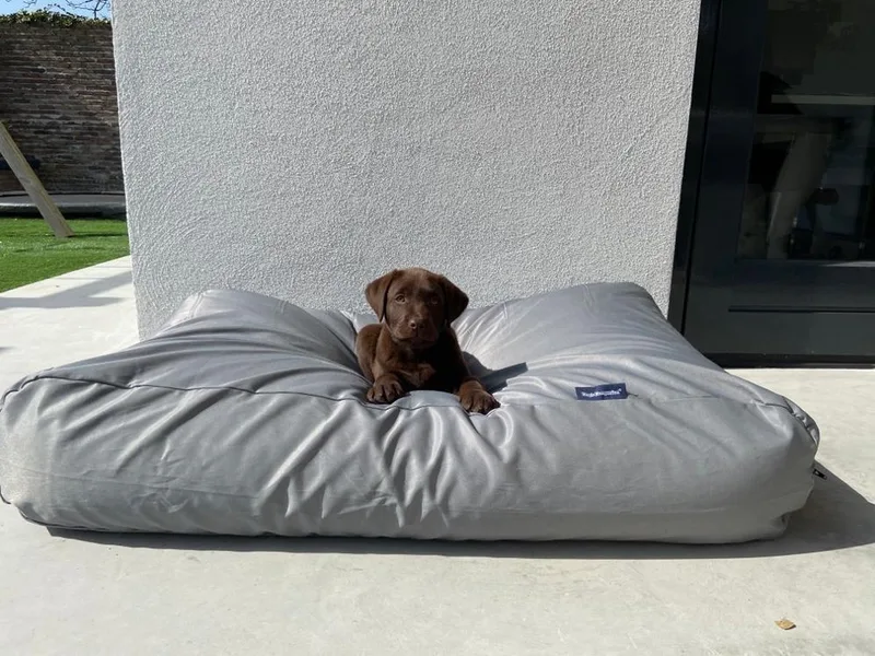 Hondenkussen / Hondenbed vuilafstotende coating small - S - 70x50cm de Dog's Companion en Gris clair – photo produit