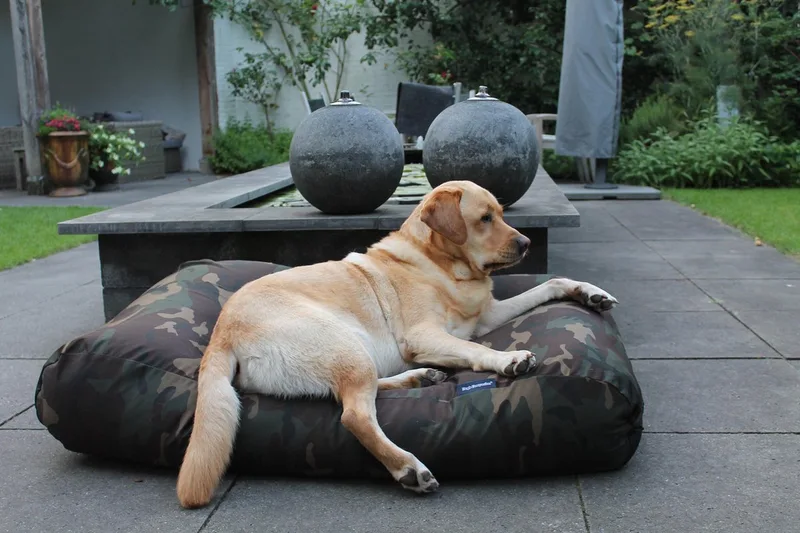 Hondenkussen / Hondenbed - XL - 140 x 95 cm - Army Polyester/Katoen by Dog's Companion in Army Groen – product photo
