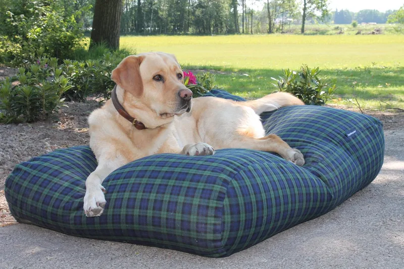 Hondenkussen / Hondenbed - XL - 140 x 95 cm by Dog's Companion in Black Watch – product photo
