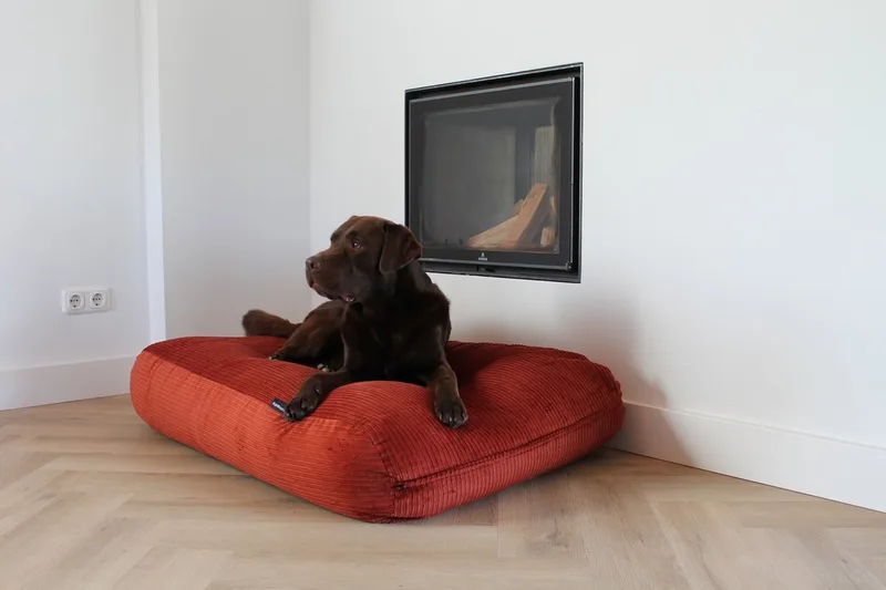 Hondenkussen / Hondenbed - XL - 140 x 95 cm de Dog's Companion en Brique Double Ribcord – photo produit