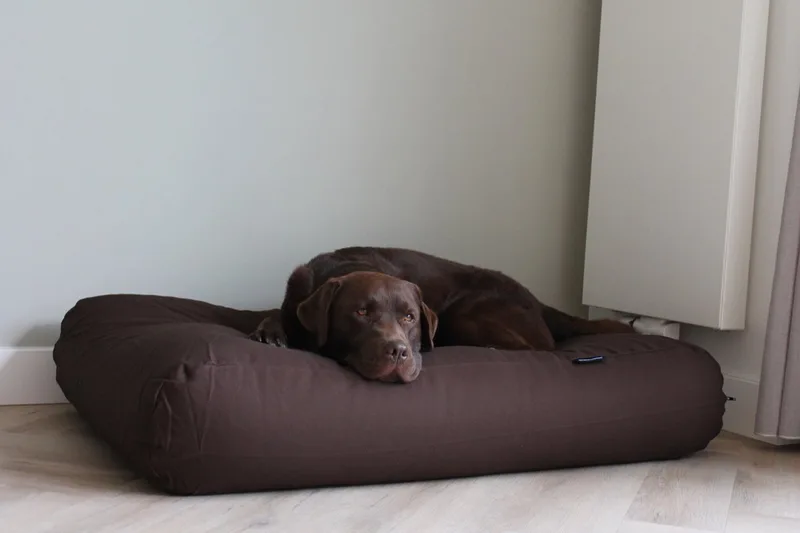 Hondenkussen / Hondenbed - XL - 140 x 95 cm von Dog's Companion in Chocolade Bruin Canvas, Katoen – Produktfoto