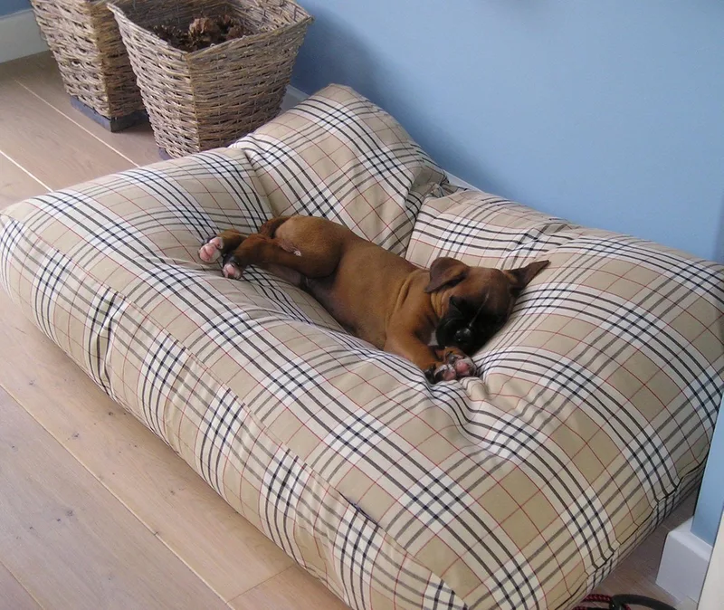 Hondenkussen / Hondenbed - XL - 140 x 95 cm de Dog's Companion en Country Field – photo produit
