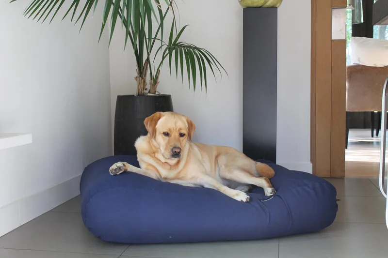 Hondenkussen / Hondenbed - XL - 140 x 95 cm de Dog's Companion en Donkerblauw Canvas, Katoen – photo produit